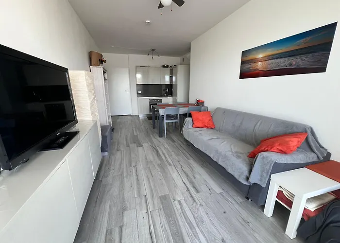 Palm Apartment