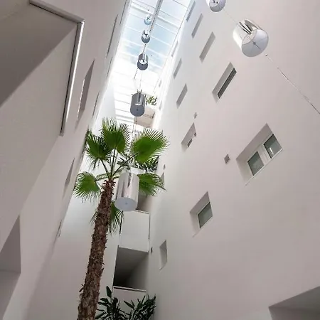 Palm Apartment