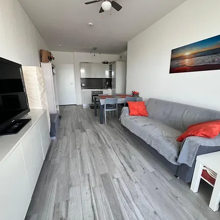 Palm Apartment